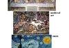 art evolution