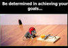 Determination