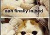Every. Time.