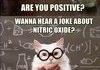 Punny- Chemistry Cat Edition