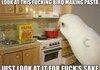 look at this bird
