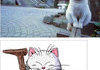 Meow