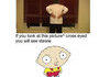 Stewie