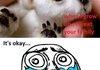 Polar bear!