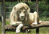 Because you're worth it