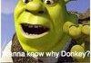Shrek