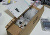 New cat arrives