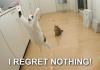 I REGRET NOTHING.