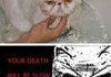 This is why I'm a dog person...
