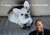 Yo Dawg, Heard You Like To Press Paws