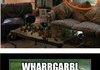 Funny Animal Comp :D