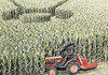 Crop circles