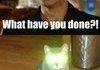 WHAT HAVE YOU DONE !!!!