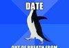 Socially Awkward Penguin Date Night