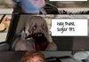 Pewds