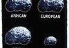 Brain yeeah