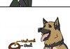 Commander German Shepard