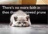 Shakespearian insult cats