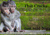 That Cracka