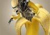 Crazy Banana