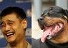 Look a likes