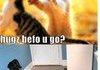 LOLCATS!