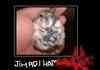 Jihadi hamster