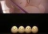 Eggs and Emotions