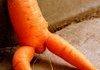 Whats wrong with my Carrot?
