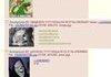 /b/