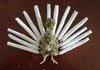 Happy Thanksgving