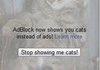 Why I Love AdBlock