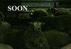 Soon.