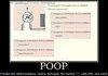 What does poop taste like?