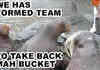 I formed a team