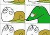 Snail