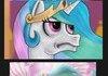 Ponycomp 103