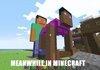 Meanwhile in Minecraft
