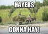 hay is actually dried grass