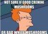 Futurama Fry Mushrooms