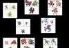 Pokefusions, pokefusions everywhere