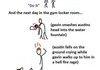 The story of Gavin