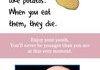Pictures and Words 4