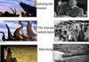 Hitler vs Lions