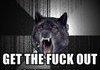 Insanity Wolf Christmas