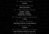 Skyrim Drink game