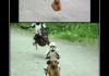 photoshop!!!