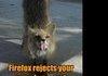 Fierfocks Compilation