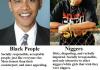 Niggers/Black People