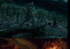 LoTR meets Forrest Gump